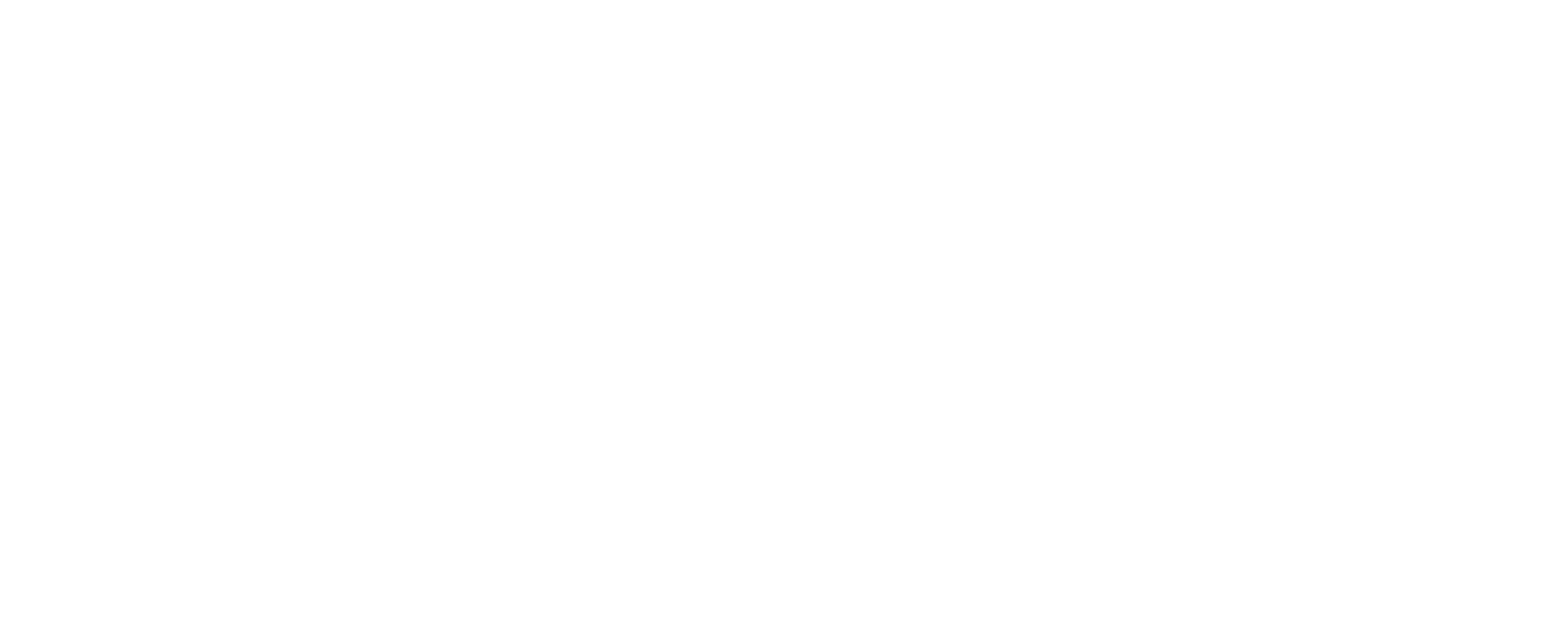RE/MAX Forte